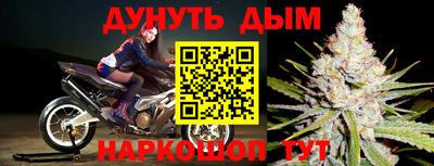 молекула духа Донецк