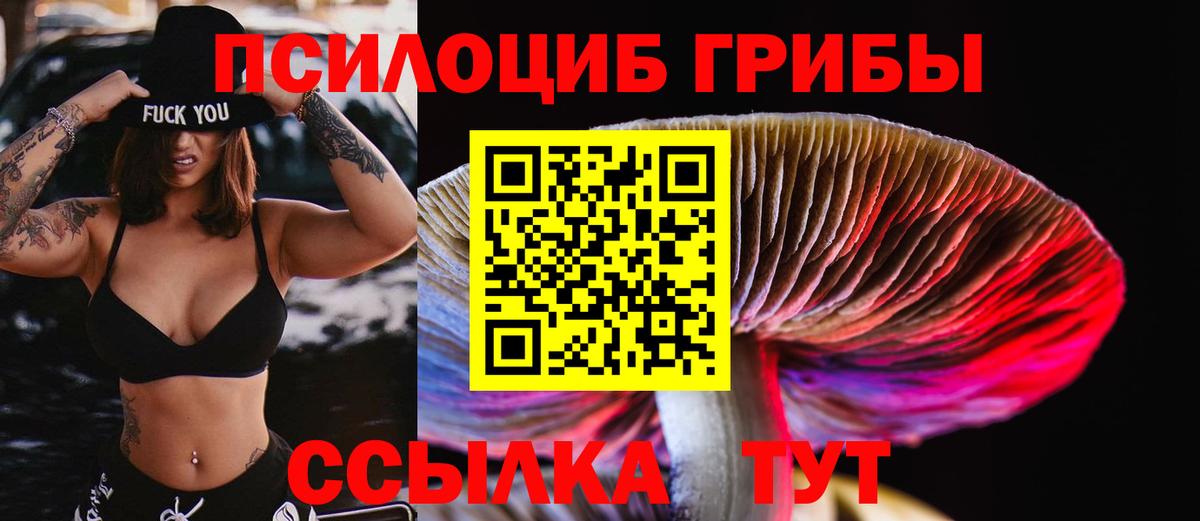 Салават  Галлюциногенные грибы Magic Shrooms  Вход с VPN 