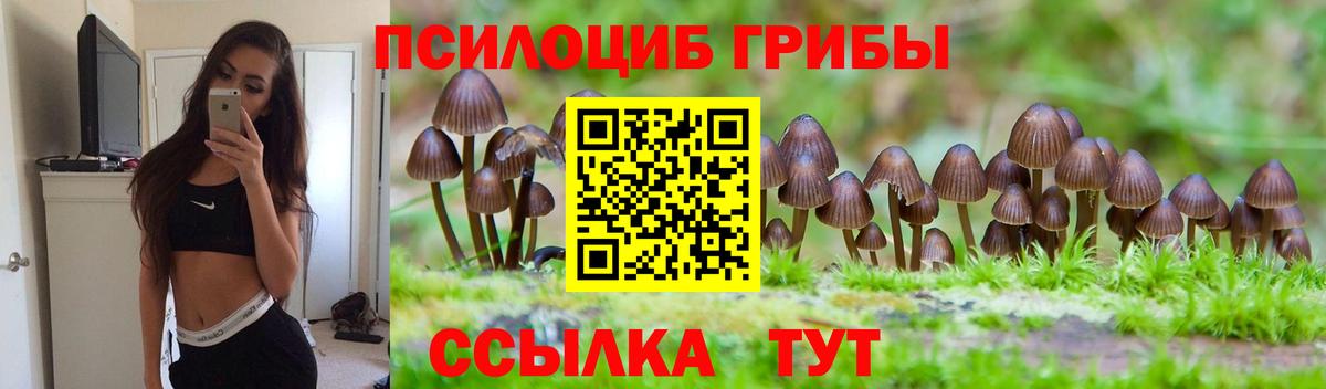 Галлюциногенные грибы GOLDEN TEACHER Салават